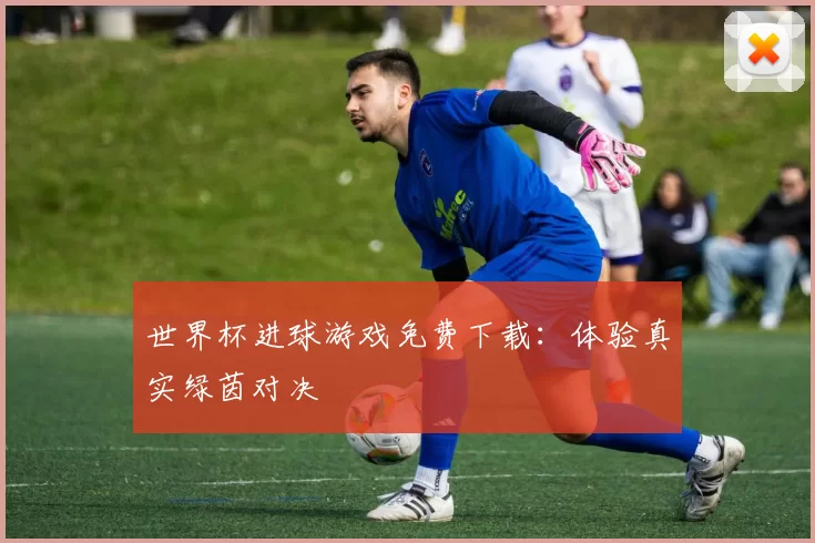 世界杯进球游戏免费下载:体验真实绿茵对决