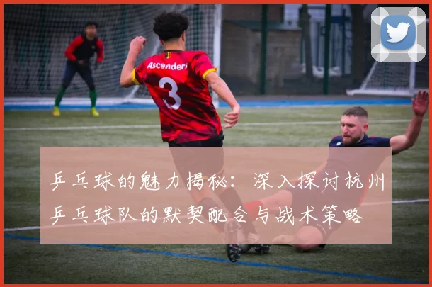 乒乓球的魅力揭秘:深入探讨杭州乒乓球队的默契配合与战术策略
