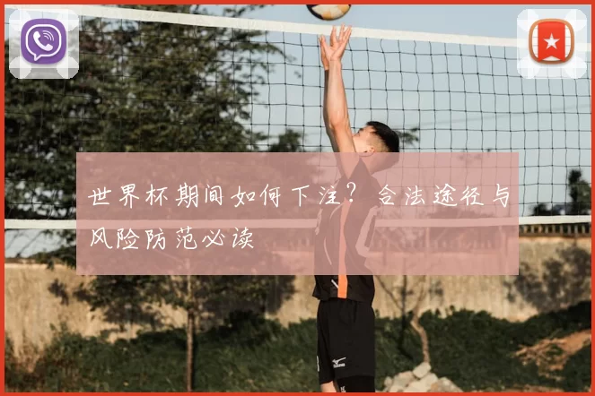 世界杯期间如何下注?合法途径与风险防范必读