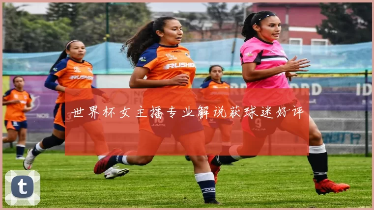 世界杯女主播专业解说获球迷好评