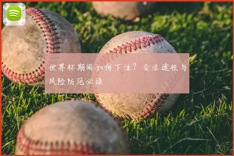 世界杯期间如何下注?合法途径与风险防范必读