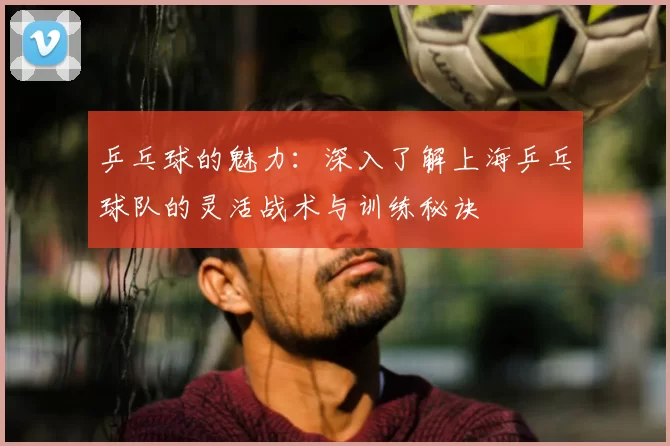 乒乓球的魅力:深入了解上海乒乓球队的灵活战术与训练秘诀