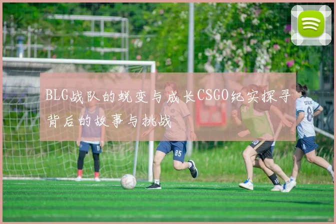 BLG战队的蜕变与成长CSGO纪实探寻背后的故事与挑战