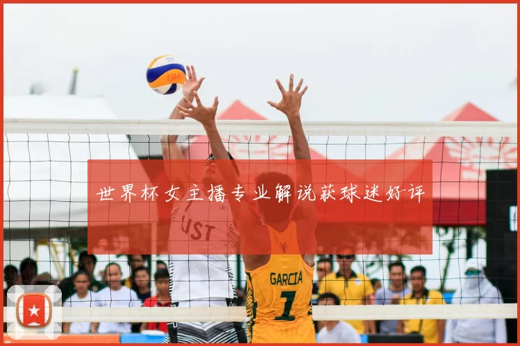 世界杯女主播专业解说获球迷好评