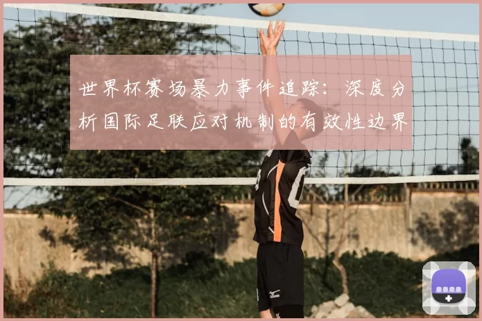 世界杯赛场暴力事件追踪:深度分析国际足联应对机制的有效性边界