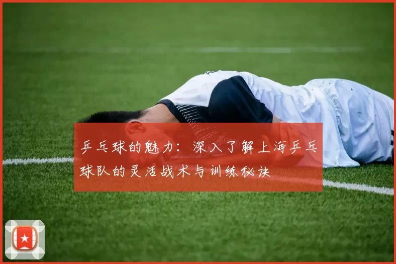 乒乓球的魅力:深入了解上海乒乓球队的灵活战术与训练秘诀