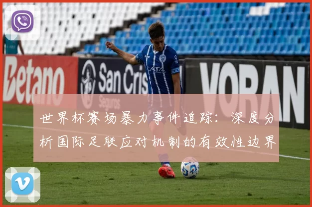 世界杯赛场暴力事件追踪:深度分析国际足联应对机制的有效性边界