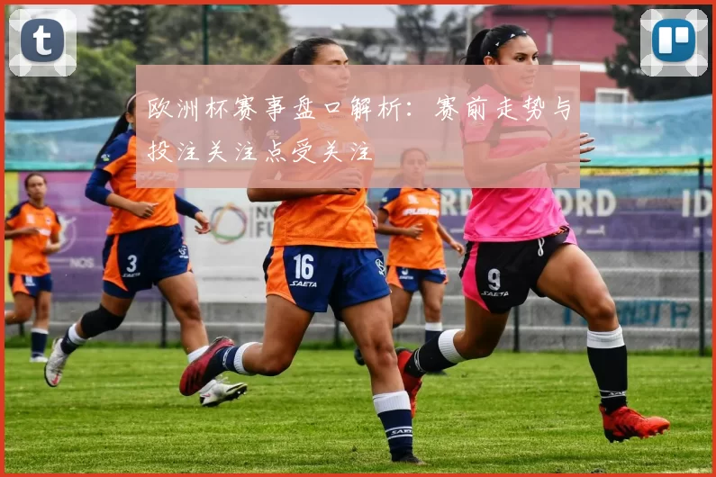 欧洲杯赛事盘口解析:赛前走势与投注关注点受关注
