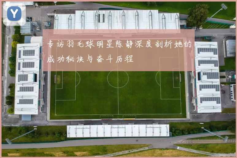 专访羽毛球明星陈静深度剖析她的成功秘诀与奋斗历程