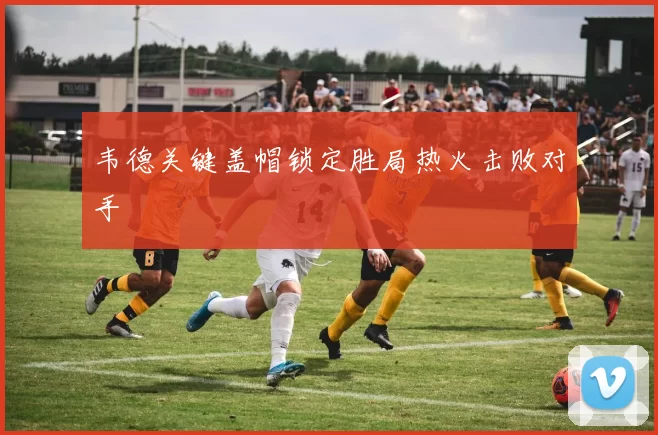 韦德关键盖帽锁定胜局热火击败对手